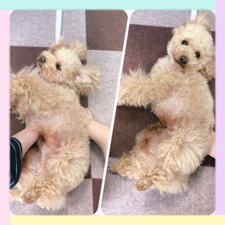 6b9fbb98 f8fa 4b84 9cfb 56c581d3220d 1524888198328