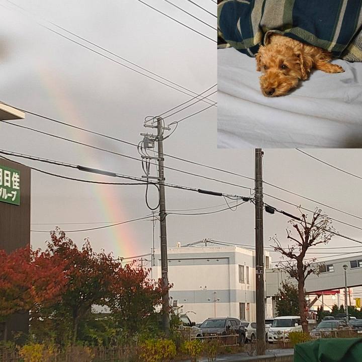 6b9fec88 6c19 4334 93ed 176082b379ed 1604358943081