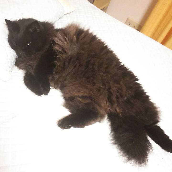 6ba07d1f 60b0 4710 b22d 65bcf03027b3 1568385160445