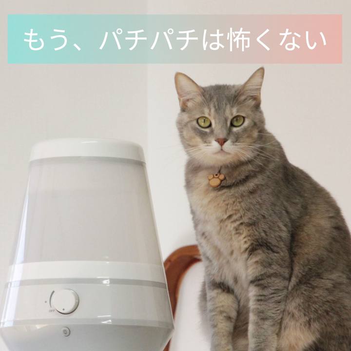 6ba084d7 3e0a 481b 85a3 1f3962ccffe9 1575863380634