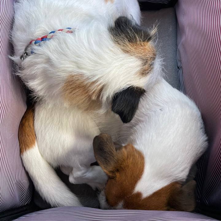 6ba085d6 52c7 445e 895f 9750e86bb5b8 1652588168316