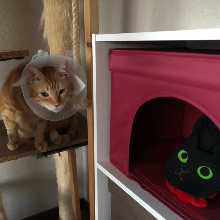 6ba08ae3 fb14 46bc ac3f e6521c6f36fb 1600505070740