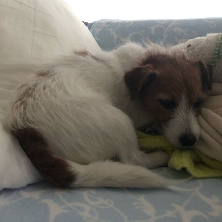 6ba0a148 fad0 4ef8 8464 8abe1c8a76fe 1581409355574