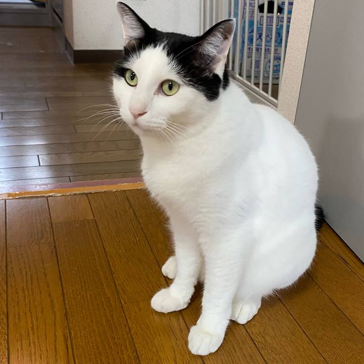 6ba0d579 1fad 49d6 a285 851b3c652759 1628723991221