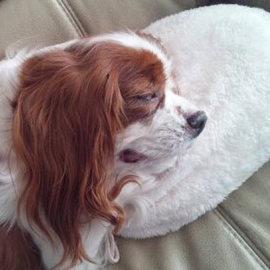 6ba0d95a 2632 4f02 9a61 e19170ae4f4d 1544703623224