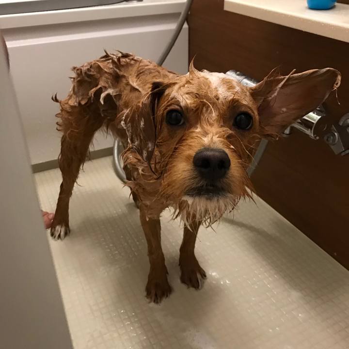 6ba1131a 3efc 4b78 a964 16148572bd32 1536491320246