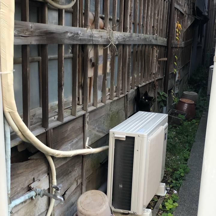 6ba119ca c63b 402e 80ce 9a0a318ba26f 1572732104718