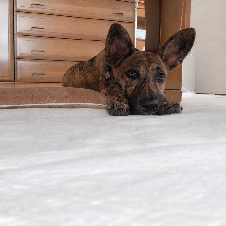 6ba148ab 41e9 4bbd 81ef 39dc06c96974 1575096884571