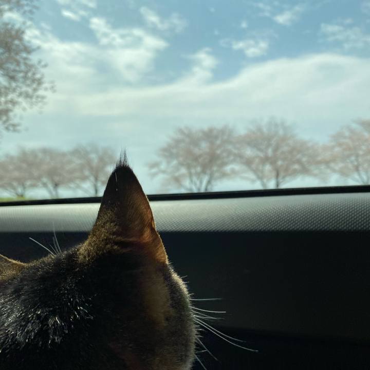 6ba14f95 921c 4270 851e ac05fecc6870 1648432332689