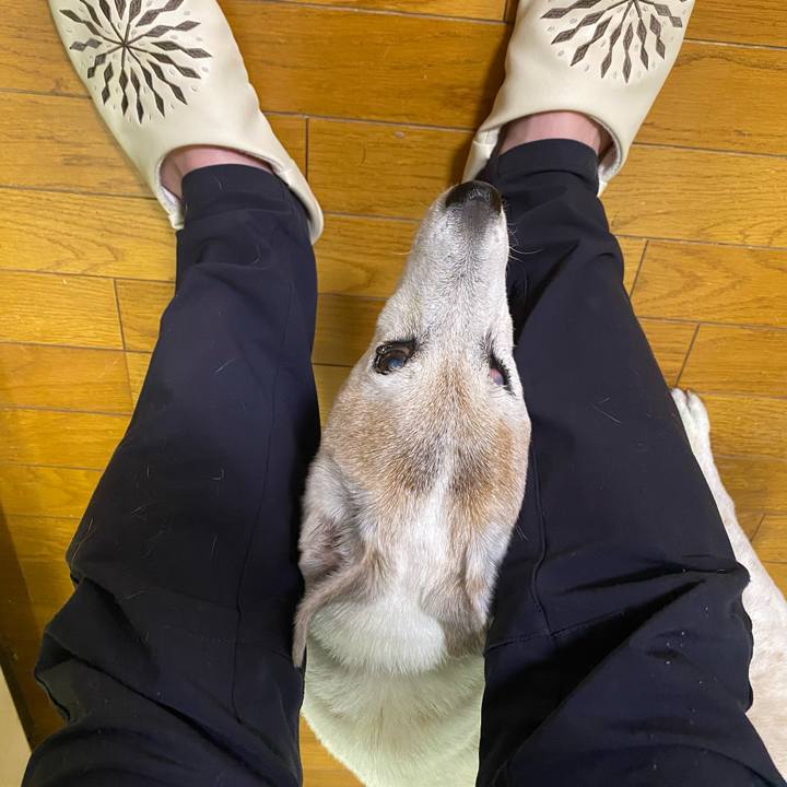 6ba17083 29e4 4eb7 95db 2f5268db226d 1715553172391