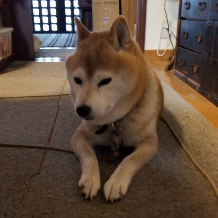 6ba17689 03cb 4475 b608 089bed8e69ef 1699397936527