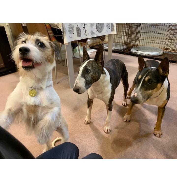 6ba176dd 7215 4a7c 83b6 4194e12f0907 1600170463073