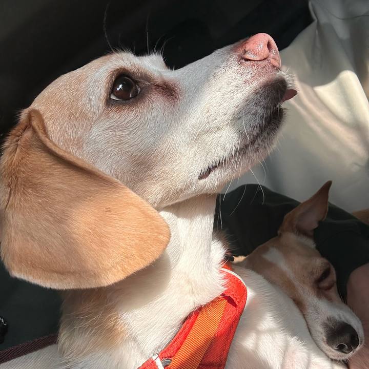 6ba19274 7884 45cc 827f f17b43bd43e5 1742888515850