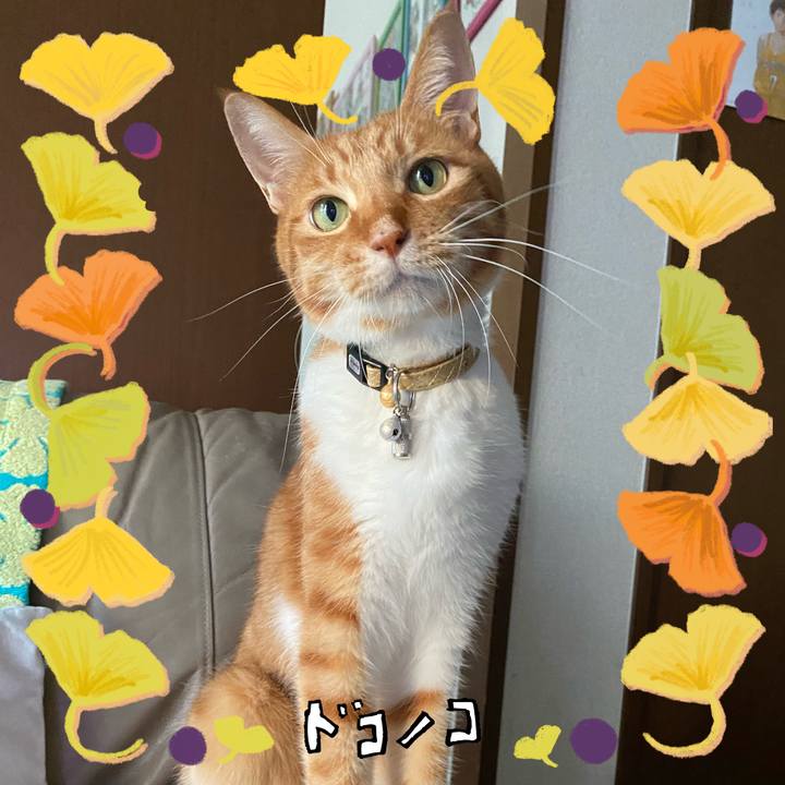 6ba19c28 c981 4c9b 908c a0e1a11fa36a 1730799431372