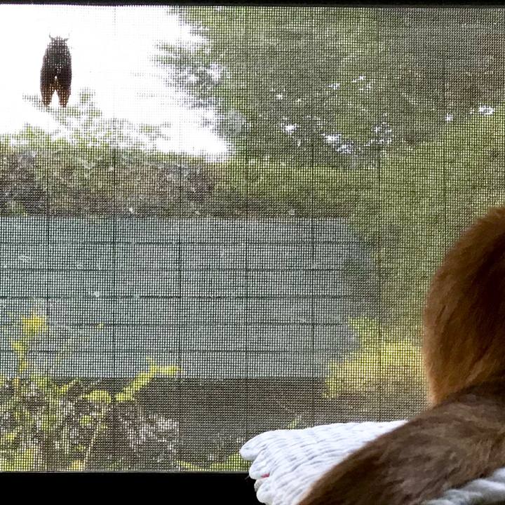 6ba1a6fc 64a9 4e56 943c 1935ef470c92 1535081783581