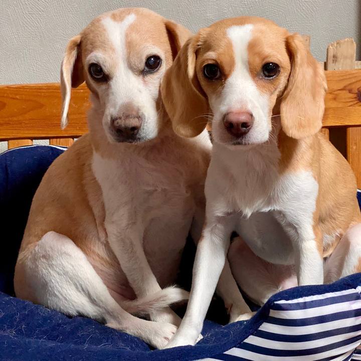 6ba1c636 a858 4a0d 9a8b 0f78f322ed3b 1579757210465