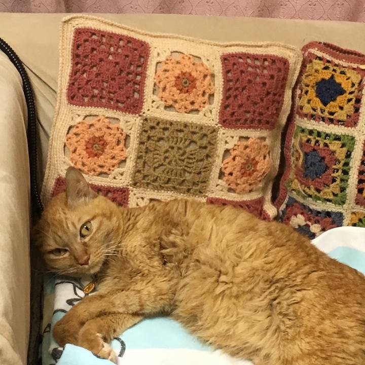 6ba27156 51d4 474d b279 0a6c3fddeef7 1542755975988