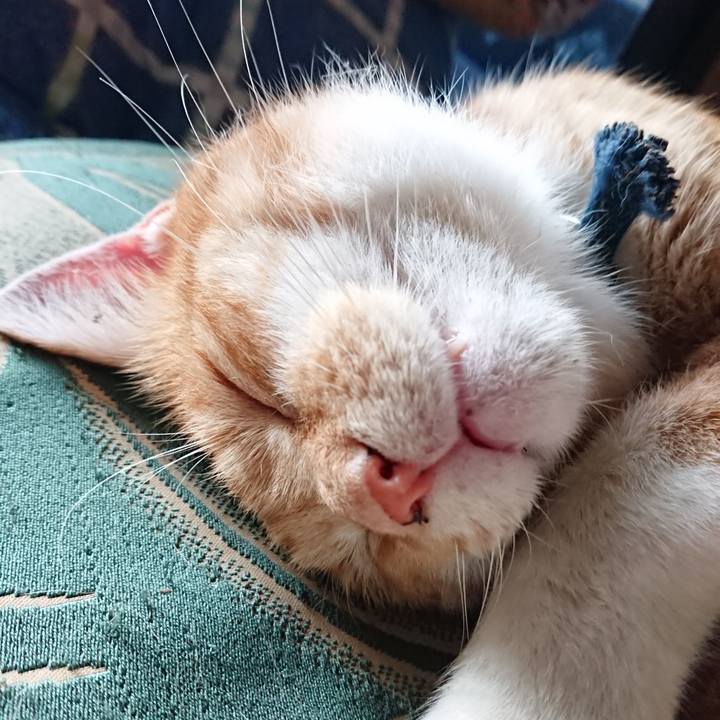 6ba2a273 490c 4739 be48 799fd39592b1 1567556766045