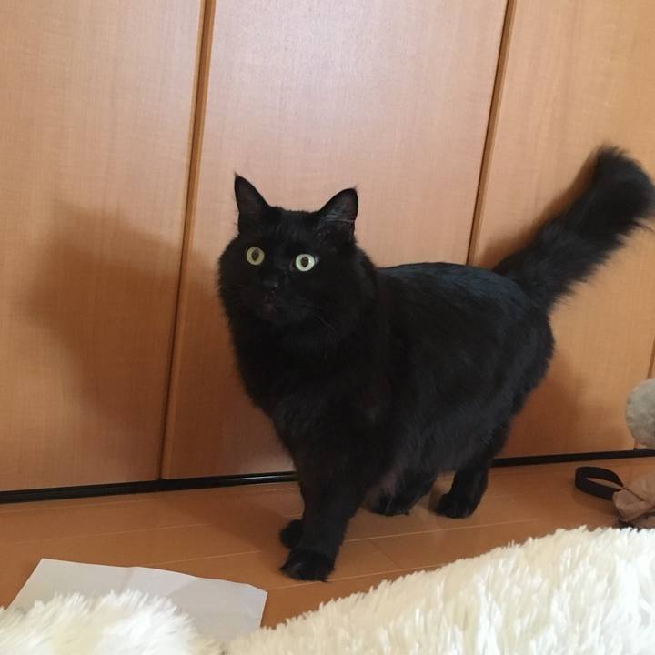 6ba2a6ba 3623 4188 96d9 5fcd80a9d694 1518918387621