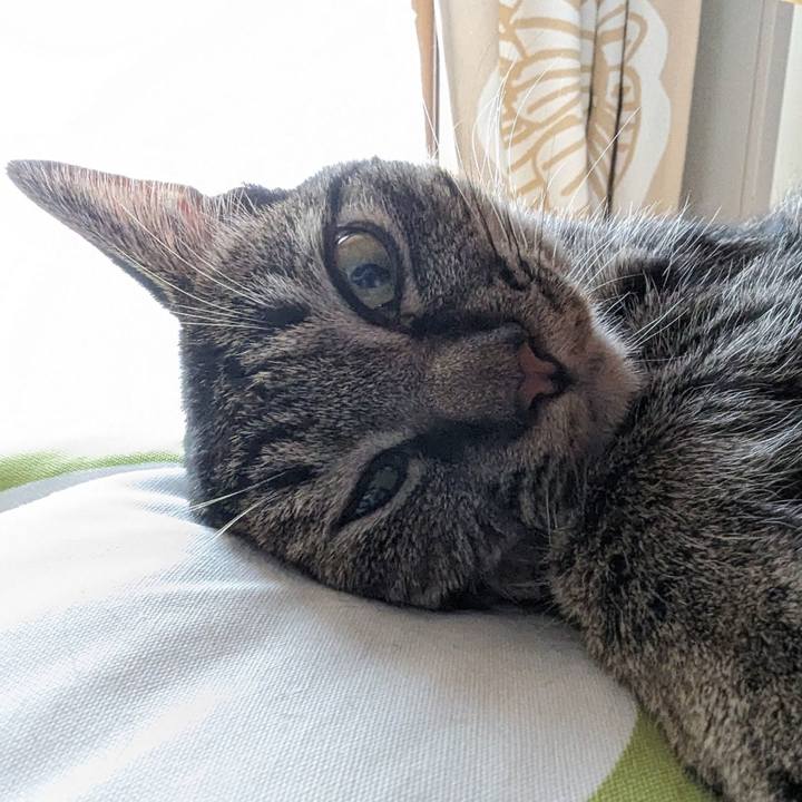 6ba2ae9e 34fd 47fe 9fe0 891182401a24 1718081132332