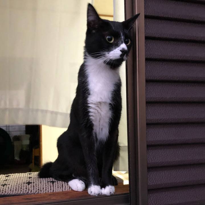 6ba2e9bb 84e7 495d 9da1 1600d0edbafc 1567568403393