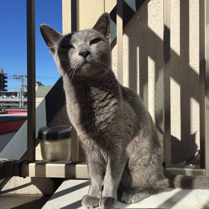 6ba2ef31 3363 4889 b492 cc7a93bbc163 1515974324559