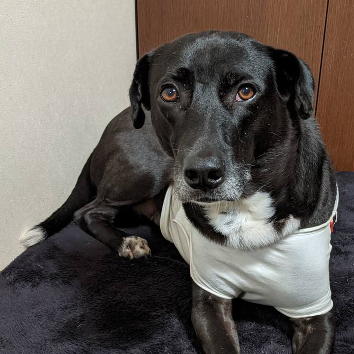 6ba2f34b 1f78 4f86 97ae 0f861b4a2f4e 1638113560691