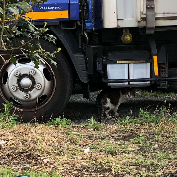 6ba32fdb ead4 4657 b3ce 82a7ae4eb69e 1585409772451