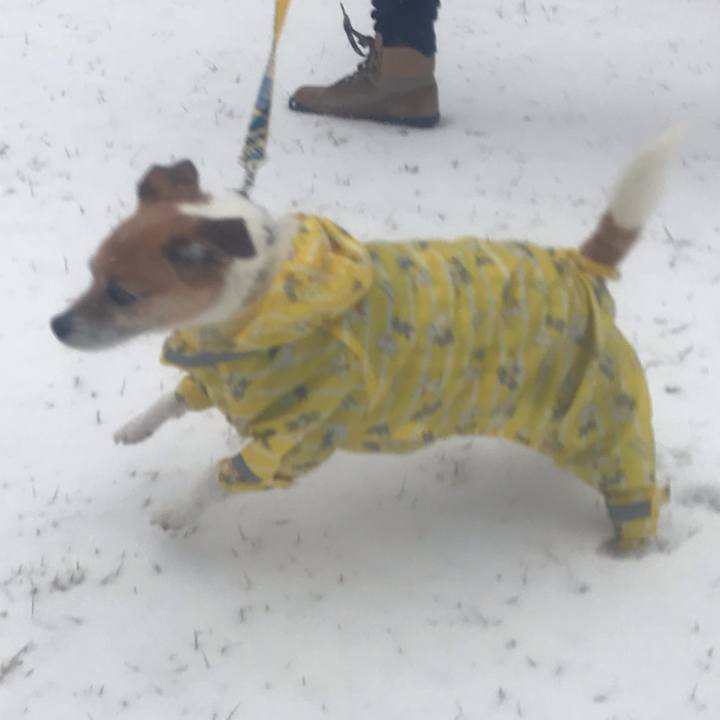 6ba33574 4d8e 4d6e bf01 1a710ad697b0 1549674413789