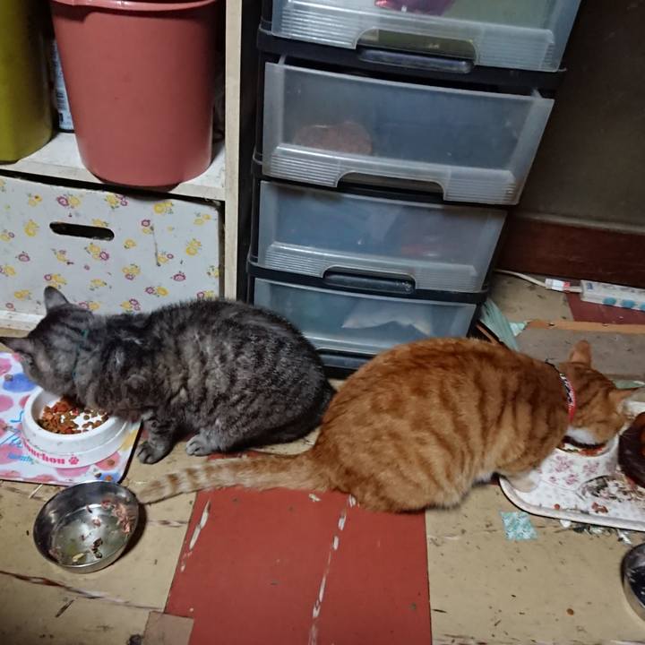 6ba37102 e9c9 4db7 8e7a 53dfe9d7798b 1569526907186