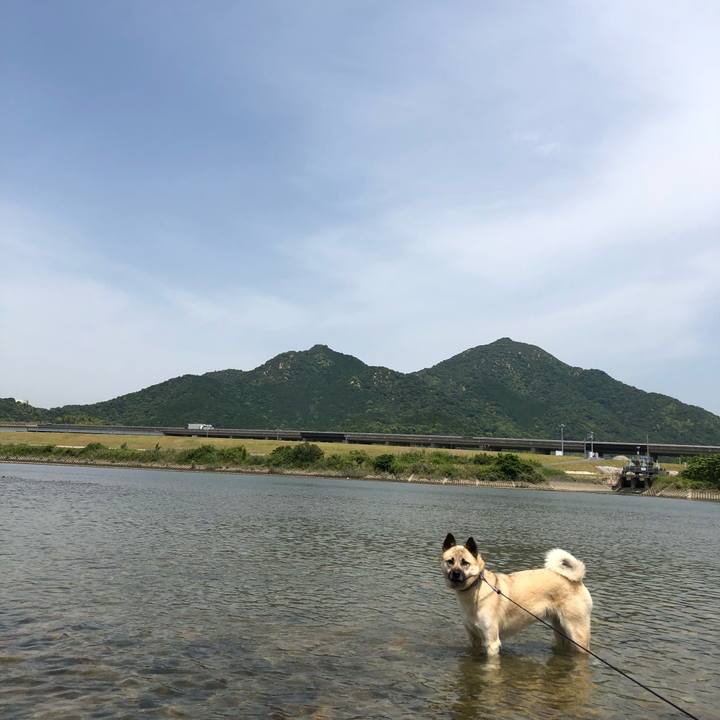 6ba3a19e b981 4bff ab21 ed10747a16db 1527412598167