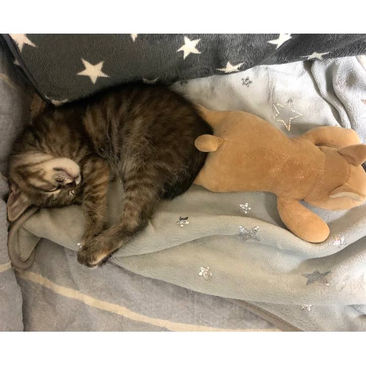 6ba3b235 5cc9 434f b08e 07eb3fec1231 1589627544871