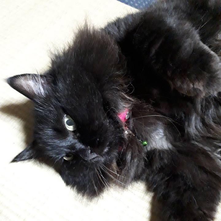 6ba3b583 6a75 4a91 9430 75ab7b7780d6 1533227783174