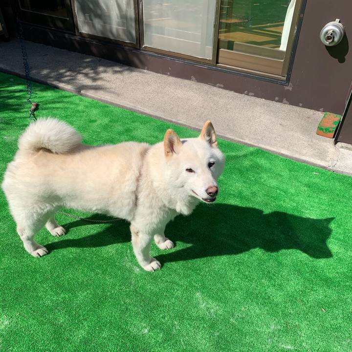 6ba3bdc8 d9d9 46ae 8c75 fe1631977974 1585891673011