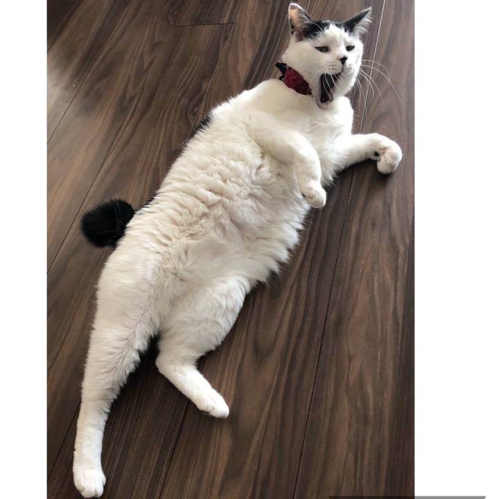 6ba3dba8 3768 47e5 a953 089b69bbbe77 1554529149072