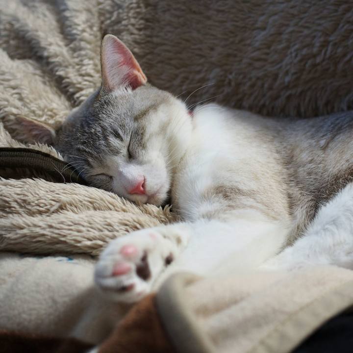 6ba3e415 1624 4a30 9249 d33fdc2b1bc4 1532922720279