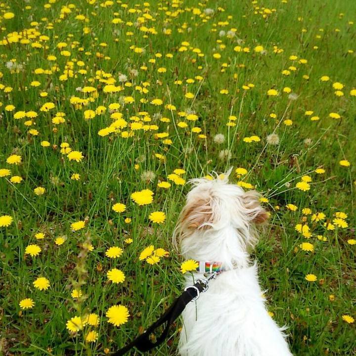 6ba3fa5c 8a5e 492b a31c a6b47b66673f 1748521358364