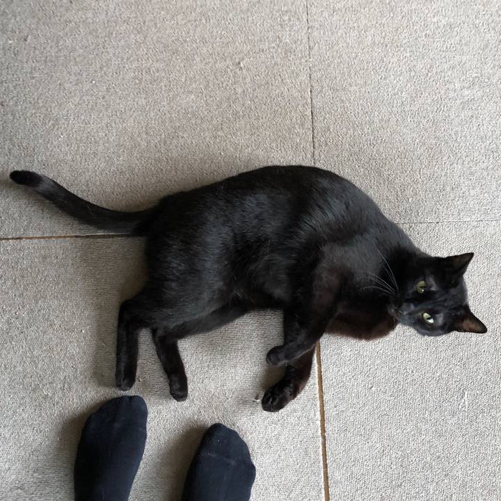 6ba40c5e a30c 4889 8968 c624a94e5bc4 1687509432505