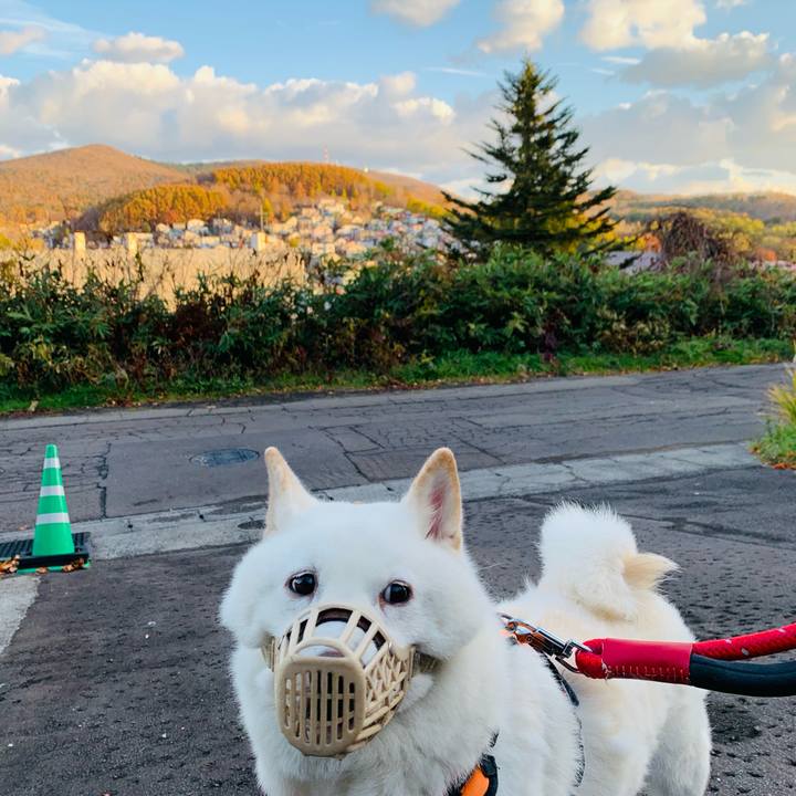 6ba40f8a 5844 4e63 8a5e 1fcf090c871a 1667685989895