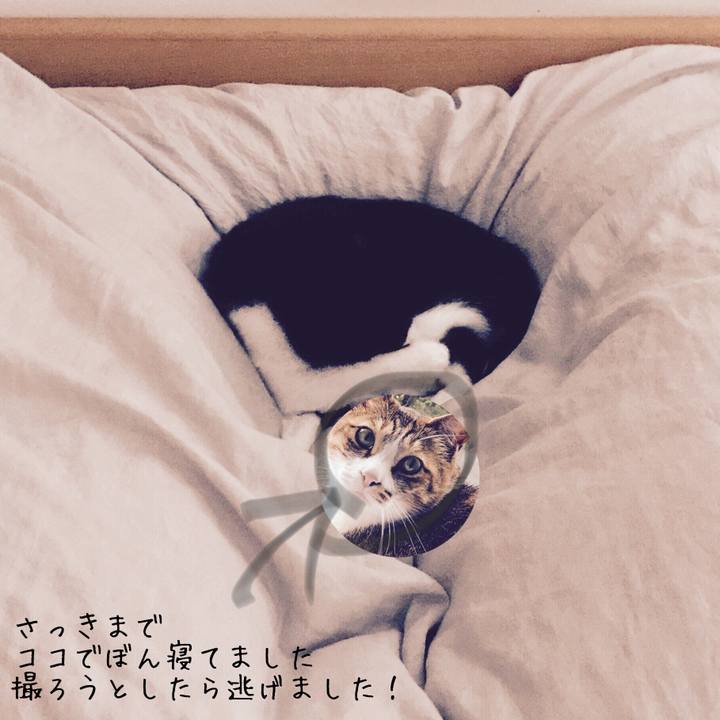 6ba41b88 82f2 4b44 8494 457328552162 1561357752726