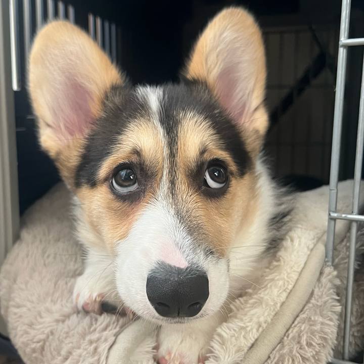 6ba49224 d807 48b5 bd9c f0f33c378e87 1773792974782