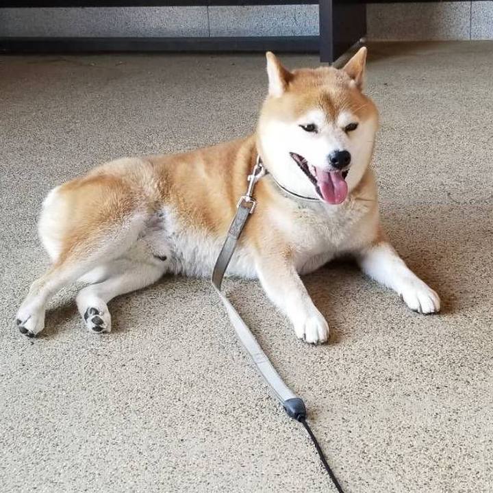 6ba4ab42 7322 4981 b406 572f3f4440b1 1526976336405