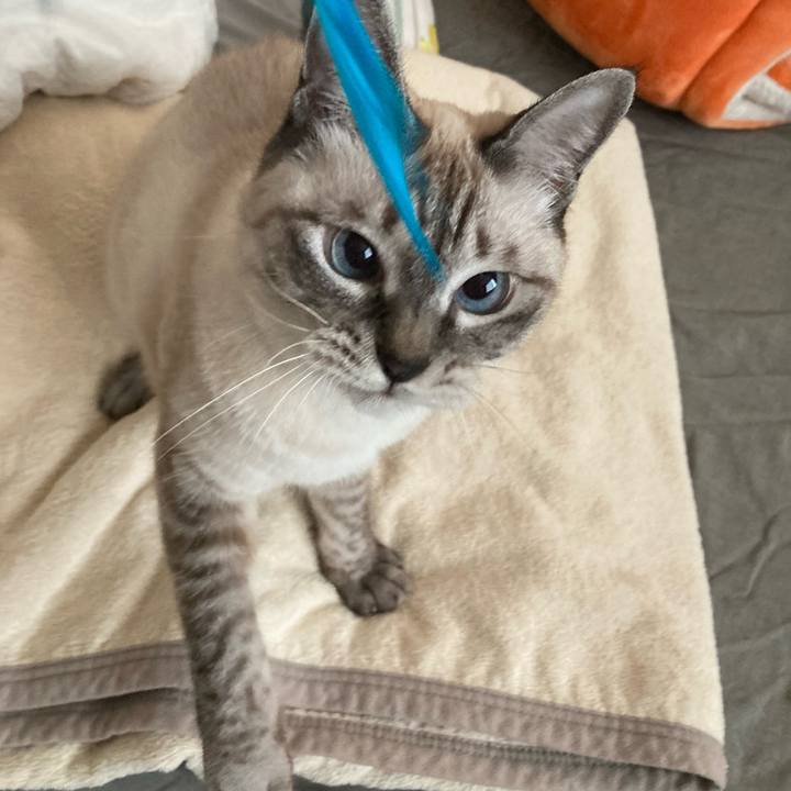 6ba4cc26 3eed 4ef4 968a 6a8ae6c7c544 1665719057421