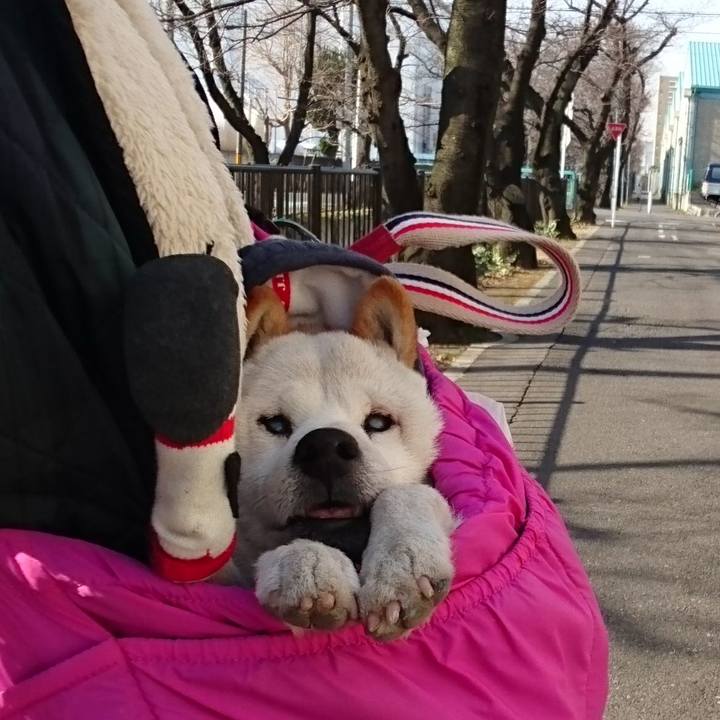 6ba4ec95 ed15 4e5b b638 da87ccbf810b 1513392077935