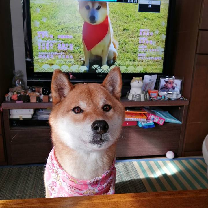 6ba4f11d fea2 4a00 a68d 7403810bff2f 1581728058556