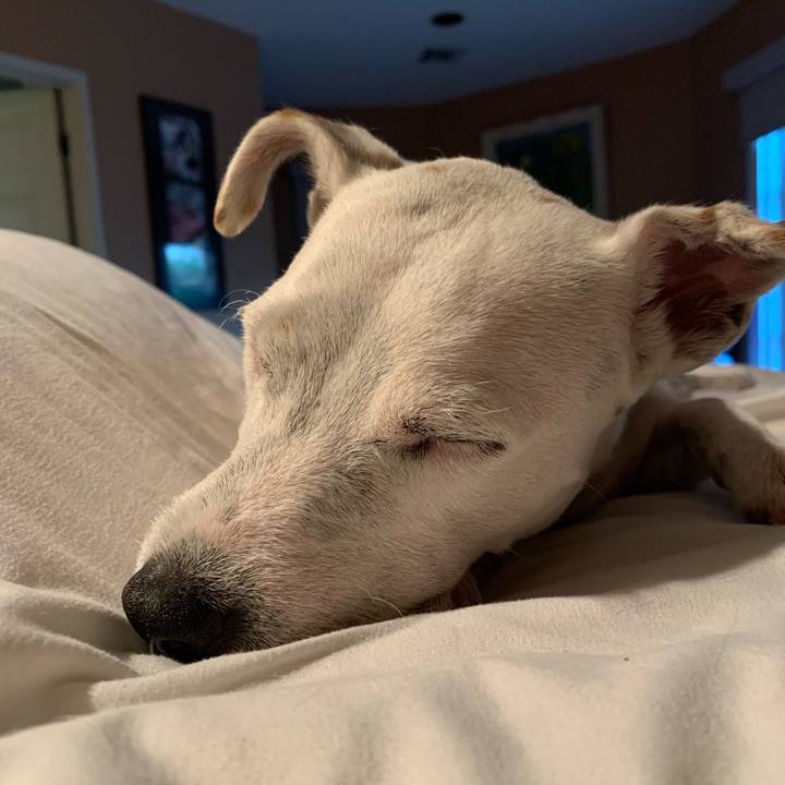 6ba500da 277f 4fc4 9e9e 8b431e4cf803 1593316382128