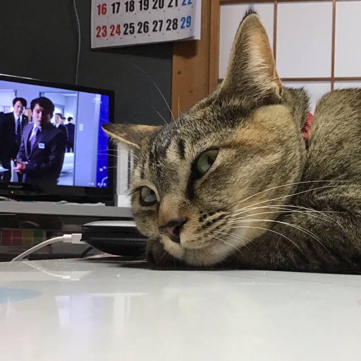 6ba5178b 59a7 423c bb4d 0a843c5b6ac2 1582701194985