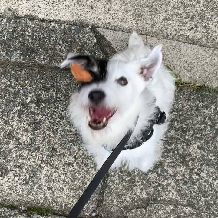 6ba5211f 9561 46db 822d c7146ead453d 1728343976452