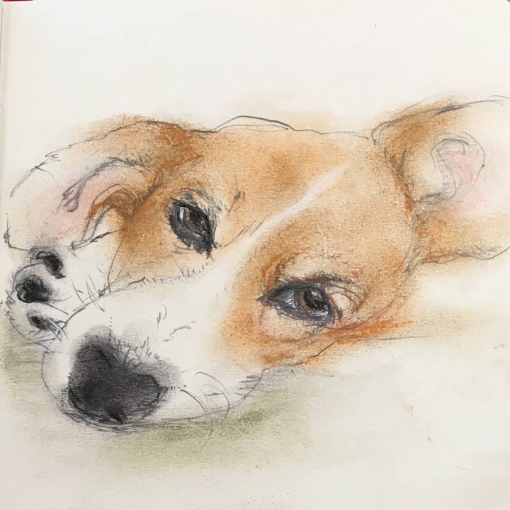 6ba53607 004e 4d83 8847 5b785e7a0033 1592892421437