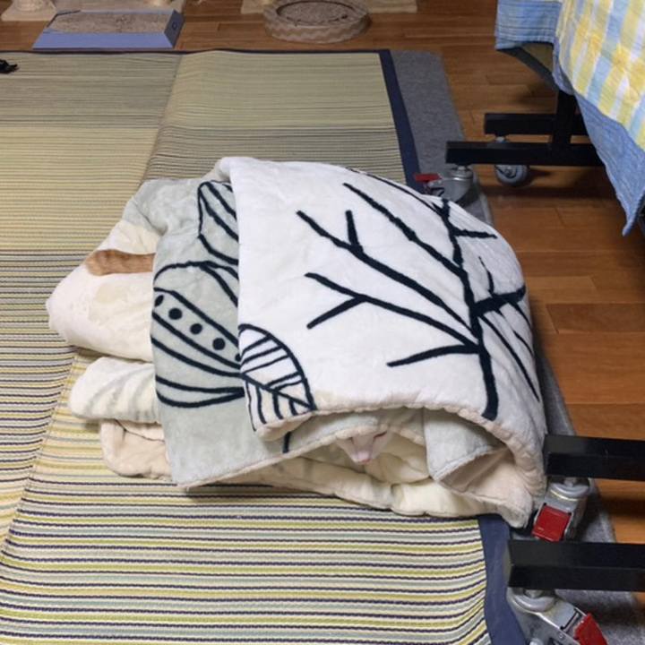 6ba53f20 fbd7 48d0 ac83 11702817228b 1558362307280